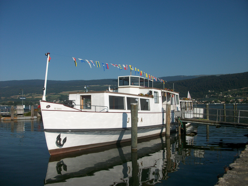 20090130_Schiff_015.jpg